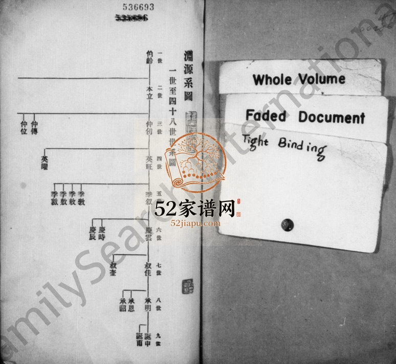 1929年修硖石蒋氏支谱 浙江海宁蒋姓电子版族谱下载