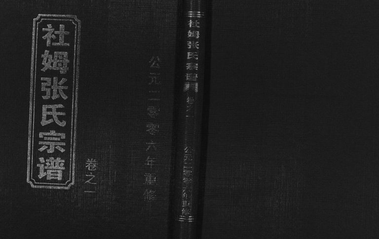 2006年重修社姆东演张世宗谱[2卷]浙江东阳裕雍堂张姓电子版族谱下载
