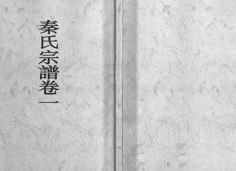 2003年慈溪符山厉府西秦塘雅莲坞秦氏宗谱[4卷]浙江东阳秦姓电子版族谱下载
