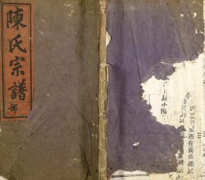 1928年修颖川陈氏宗谱 浙江缙云陈姓电子版族谱下载