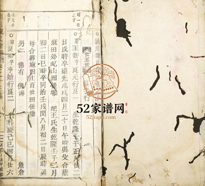 1887年修颖川陈氏宗谱 浙江缙云陈姓电子版族谱下载