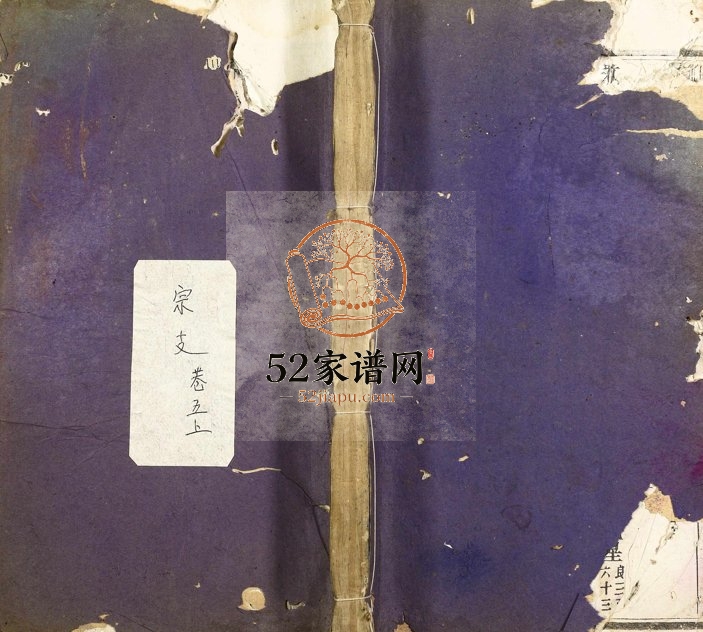 1947年颖川陈氏宗谱 浙江缙云陈姓电子版族谱下载