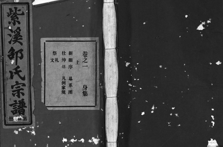 1994年修紫溪邵氏宗谱[28卷]浙江东阳邵姓电子版族谱下载