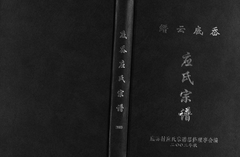 2003年修缙云底岙应氏宗谱[不分卷]浙江应保堂应姓电子版族谱下载