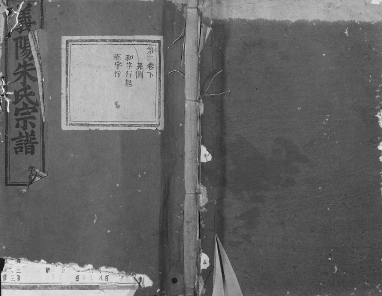 1875年修义阳金竹塘朱氏宗谱 浙江义乌 缙云朱姓电子版族谱下载