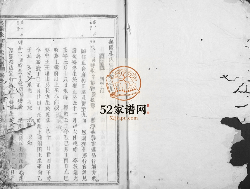 1874年修义阳金竹塘朱氏宗谱 浙江义乌 缙云朱姓电子版族谱下载