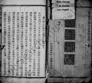 1878年聂氏重修宗谱[不分卷]浙江衢州聂姓电子版族谱下载
