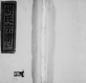 1996年修上堂胡氏宗谱[9卷]浙江缙云胡姓电子版族谱下载