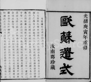 1890年修临水周氏宗谱 浙江临安周姓电子版族谱下载