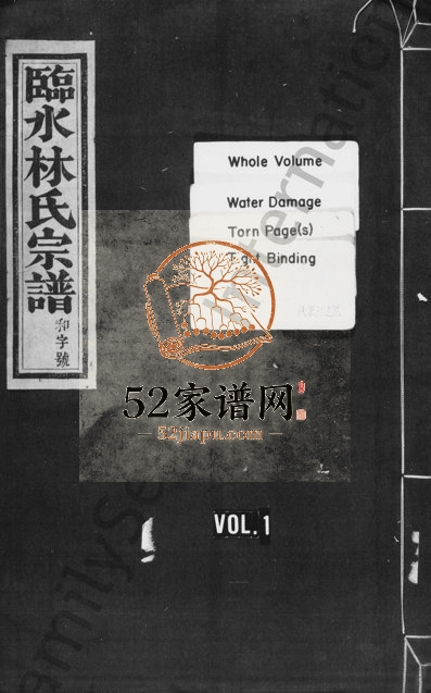1918年重修临水林氏宗谱[卷上下]浙江临安敬睦堂林姓电子版族谱下载