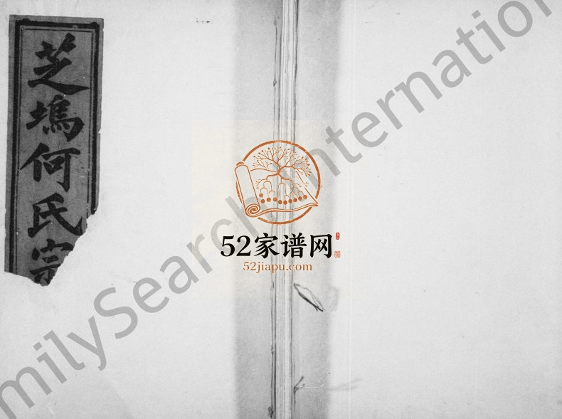 1929年修暨阳芝坞何氏宗谱[残卷]浙江诸暨正源堂何姓电子版族谱下载