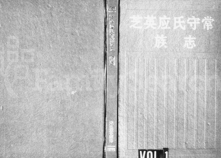 1995年十五修芝英应氏守常族志 浙江永康 缙云应姓电子版族谱下载