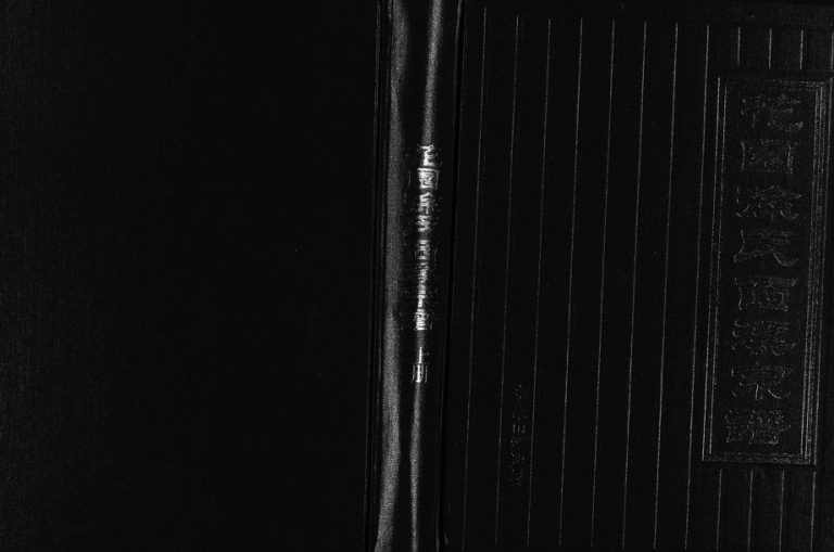 2005年修花园徐氏西溪宗谱[上下卷]浙江永康徐姓电子版族谱下载