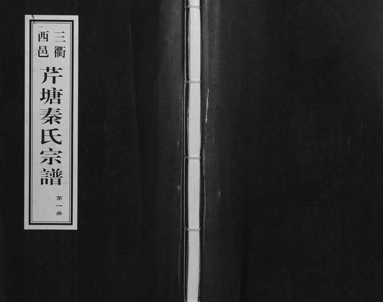 2015年修三衢西邑芹塘秦氏宗谱 浙江衢州九如堂秦姓电子版族谱下载