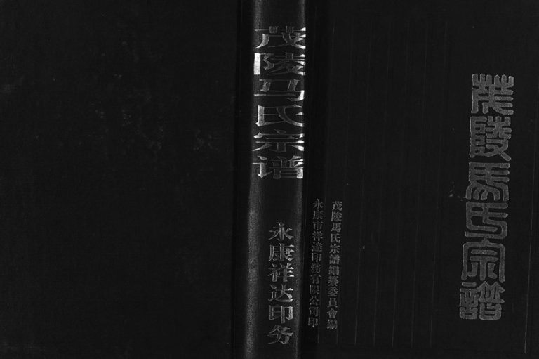 1999年修茂陵马氏宗谱 浙江东阳马姓电子版族谱下载