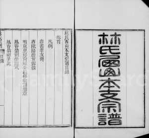 1872年修莆田林氏西山本支宗谱[4卷]福建林姓电子版族谱下载