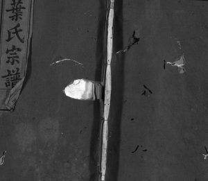 1948年五云英山叶氏续修宗谱[残卷]浙江缙云叶姓电子版族谱下载
