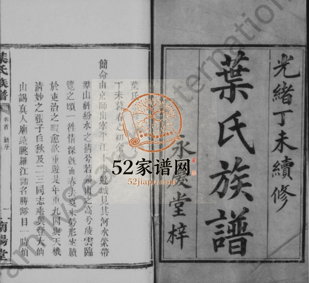 1907年修叶氏族谱[14卷]江苏 江西 湖南 湖北 四川 山东 浙江 广东南阳堂叶姓pdf电子版下载