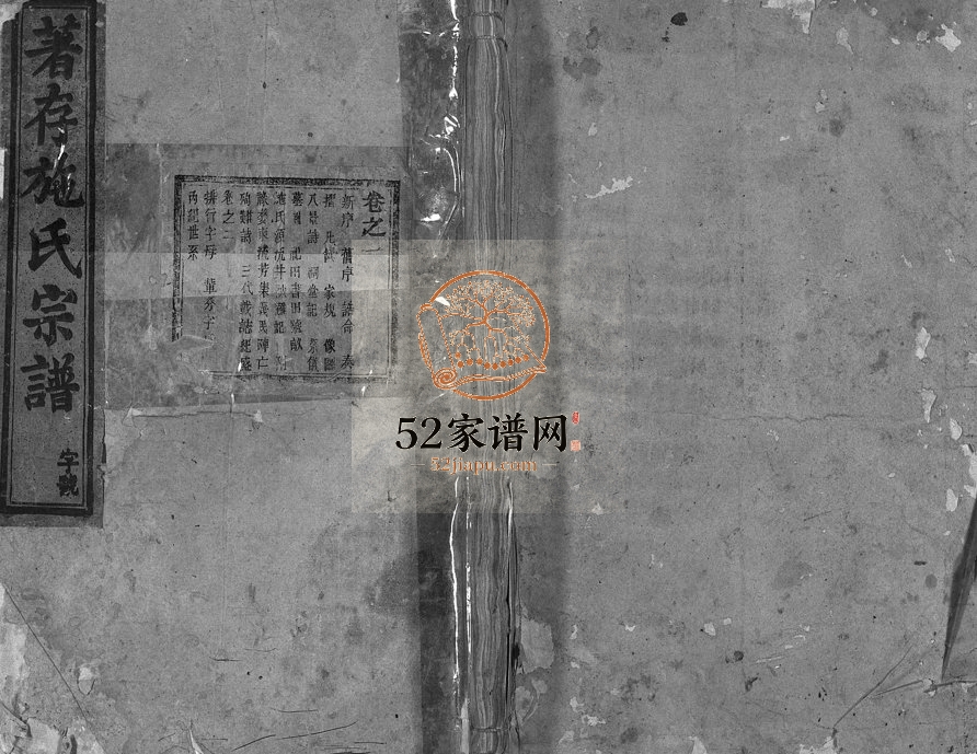 1921年重修着存施氏宗谱[5卷]浙江东阳施姓电子版族谱下载