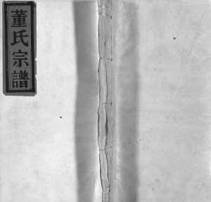 1982年重修陇西郡董氏宗谱[不分卷]浙江永嘉董姓电子版族谱下载