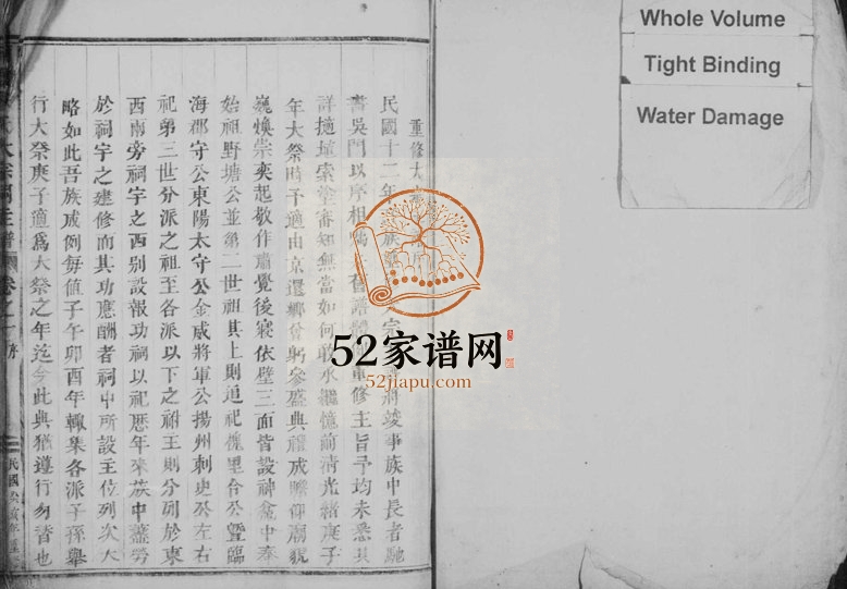 1923年修蒲墟朱氏大宗祠主谱[2卷]浙江义乌 东阳 缙云 永康朱姓电子版族谱下载