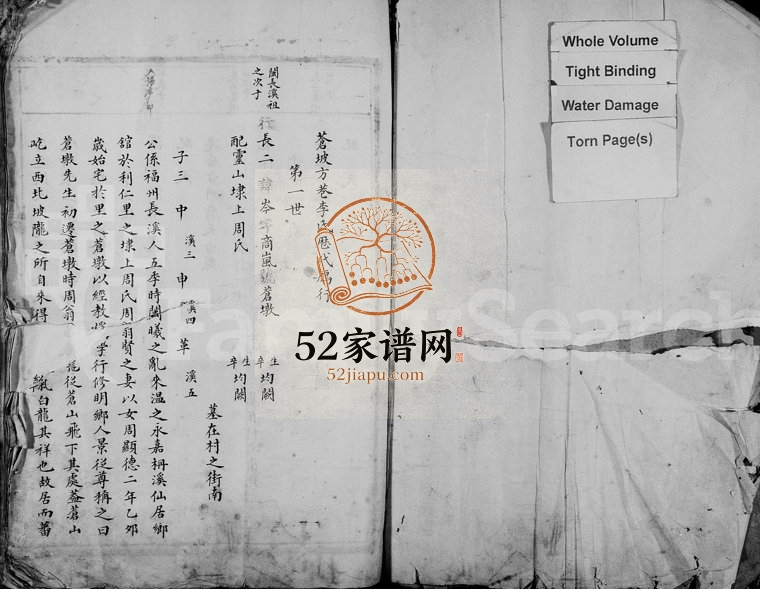 1888年修苍坡方巷李氏宗谱 浙江永嘉李姓电子版族谱下载