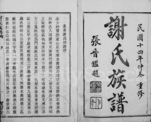 1925年修盖东谢氏族谱 浙江柯桥宝树堂谢姓电子版家谱下载