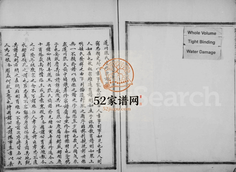 1929年修莲川张氏宗谱 浙江永嘉张姓电子版族谱下载