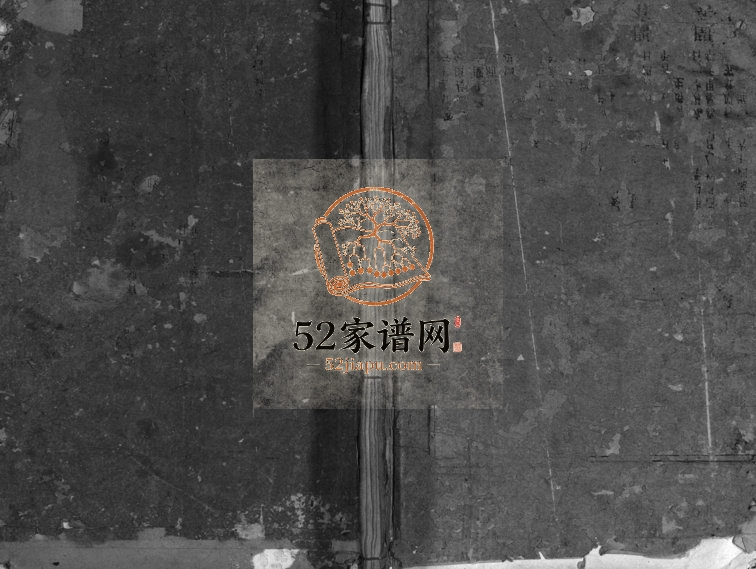 1874年修蒋塔卢氏宗谱[2卷]浙江兰溪卢姓电子版族谱下载
