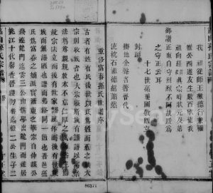 1875年修萧山孙氏宗谱[10卷]浙江守正堂孙姓电子版族谱下载