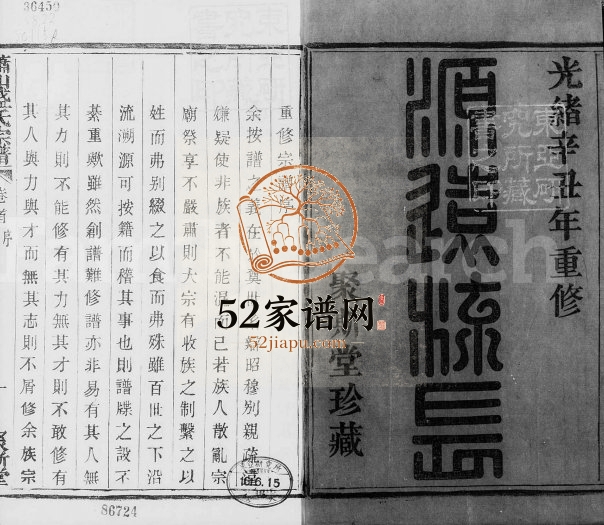 1901年修萧山盛氏宗谱[13卷及卷首]浙江聚斯堂盛姓电子版族谱下载