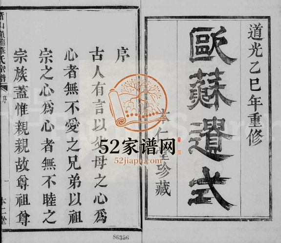 1845年修萧山渔临华氏宗谱 浙江本仁堂华姓电子版族谱下载