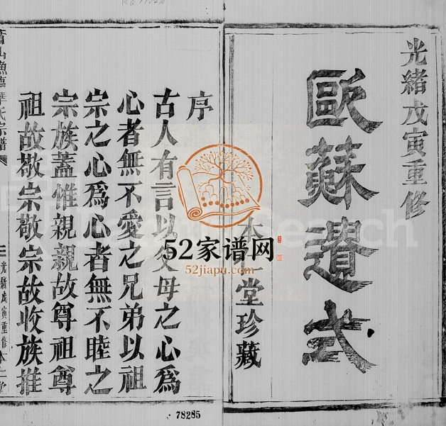 1878年修萧山渔临华氏宗谱[8卷]浙江本仁堂华姓电子版族谱下载