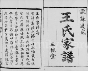 1917年修萧山车里庄王氏家谱 浙江三槐堂王姓电子版族谱下载