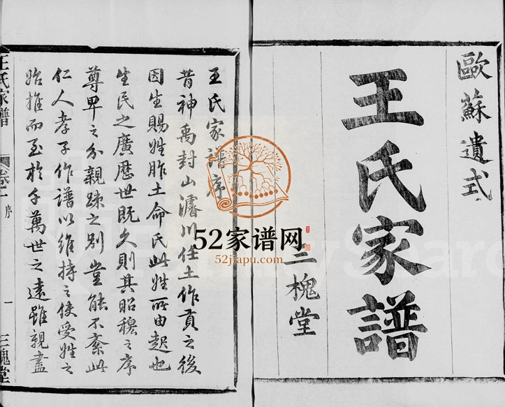 1917年修萧山车里庄王氏家谱 浙江三槐堂王姓电子版族谱下载