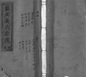1944年续修蓝田夏氏宗谱[10卷首1卷]浙江常山夏姓电子版族谱下载