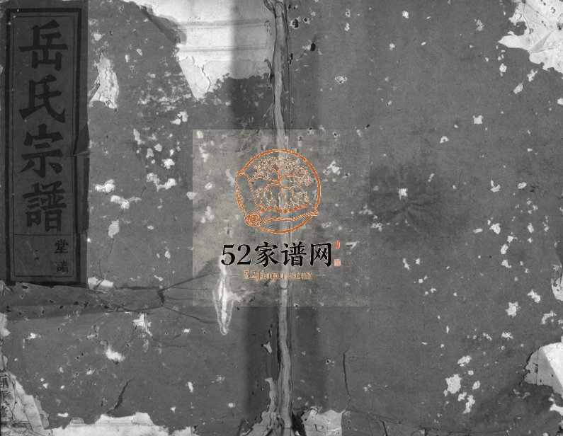 1945年重修兰江岳氏宗谱[残卷]浙江兰溪忠孝堂岳姓电子版族谱下载