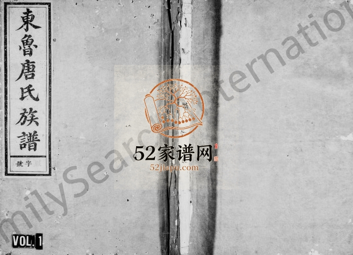 1894年重修兰江东鲁唐氏族谱[20卷含首1卷]浙江兰溪 择基唐姓电子版家谱下载
