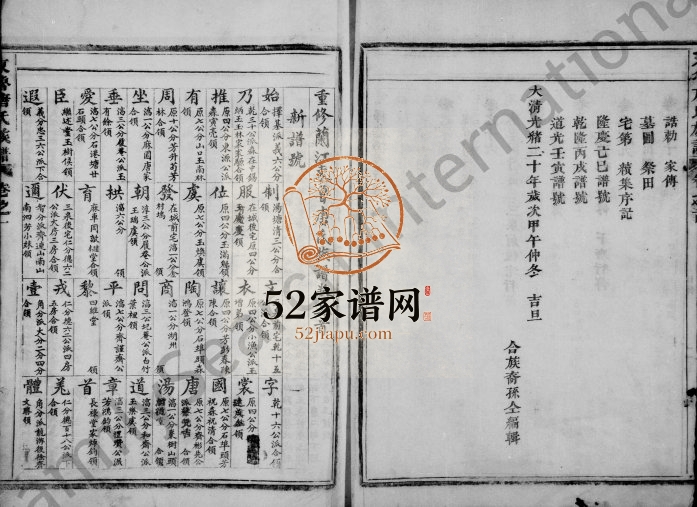 1894年重修兰江东鲁唐氏族谱[20卷含首1卷]浙江兰溪 择基唐姓电子版家谱下载