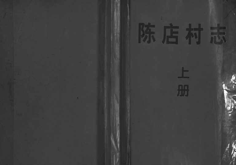 1999年续修街亭陈氏宗谱[2卷]浙江东阳陈姓电子版族谱下载