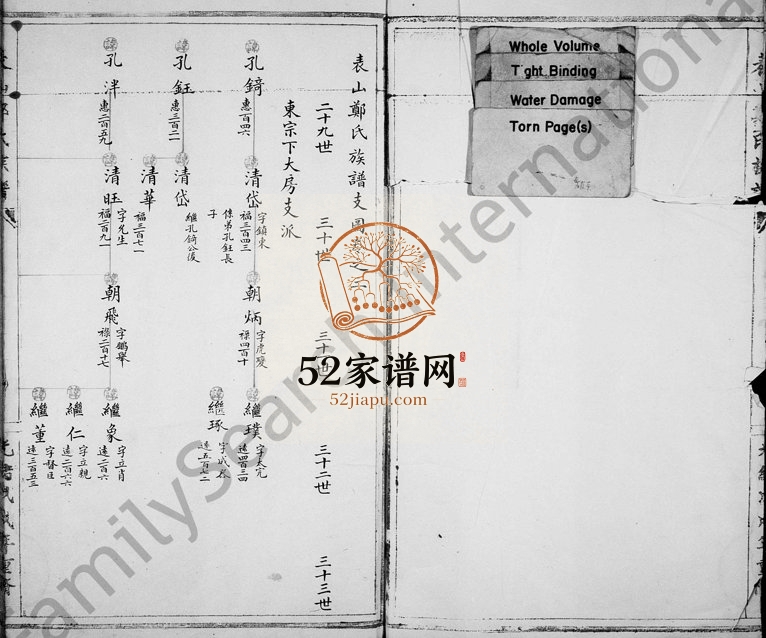 1898年重修表山郑氏族谱 浙江永嘉郑姓电子版家谱下载