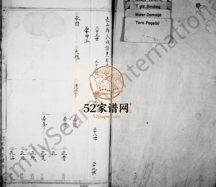 1840年修表山郑氏族谱 浙江永嘉郑姓电子版家谱下载