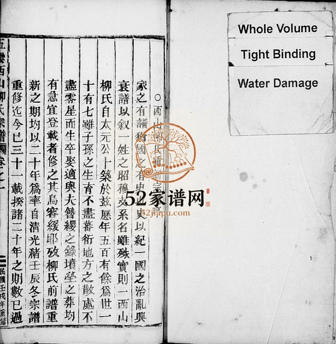 1922年修五云西山柳氏宗谱[5卷]浙江缙云柳姓电子版族谱下载