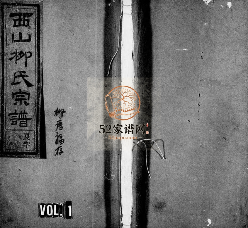 1949年修五云西山柳氏宗谱[5卷]浙江缙云柳姓电子版族谱下载
