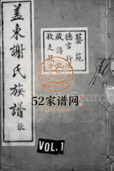 1925年修盖东谢氏族谱 浙江上虞宝树堂谢姓pdf电子版家谱下载