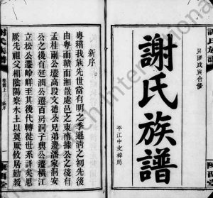 1938年初修谢氏族谱[17卷首2卷]湖南平江 福建宁化 浙江杭州 上虞陈留堂谢姓电子版家谱下载