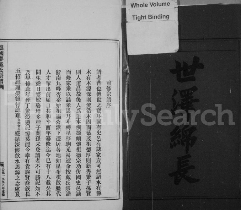 1998年修谯国郡戴氏宗谱 浙江永嘉戴姓电子版族谱下载