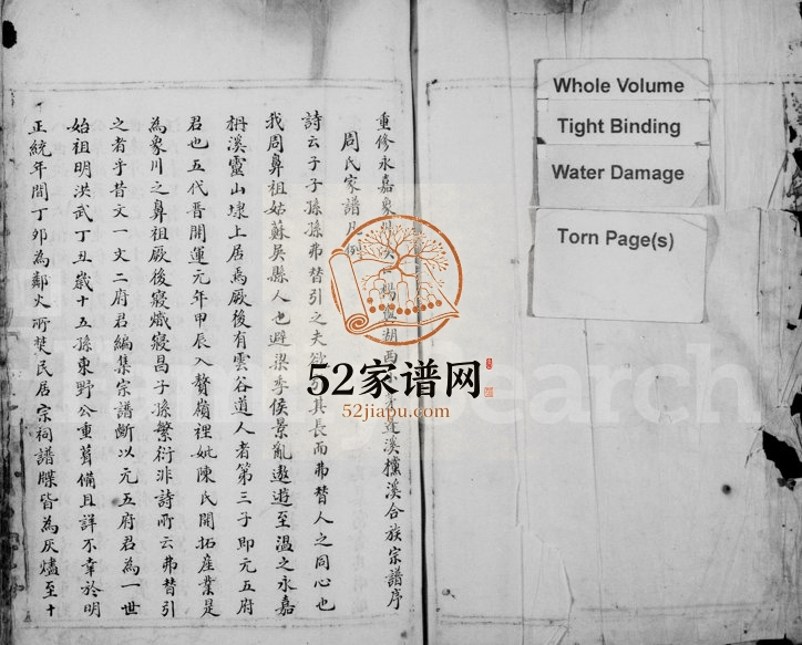 1950年修象川周氏欓溪房谱 浙江永嘉周姓电子版族谱下载