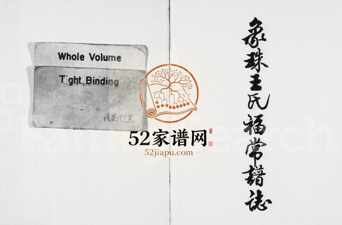 1996年修象珠王氏福常宗谱 浙江永康王姓电子版族谱下载