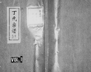 1997年修贞溪丁氏宗谱[5卷]浙江缙云丁姓电子版族谱下载